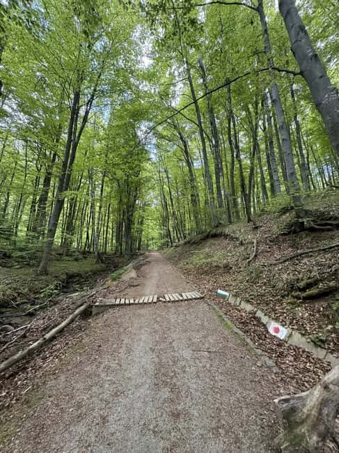 Trail Running Adventure - What’s Included and What’s Not
