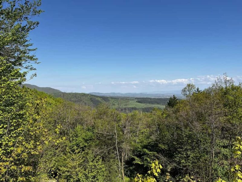 Trail Running Adventure - FAQ