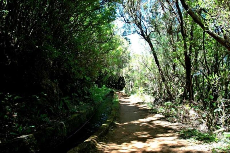 Trail to Wind Lagoon  Explore Levada do Alecrim - Trail to Wind Lagoon: Exploring Levada do Alecrim in Madeira