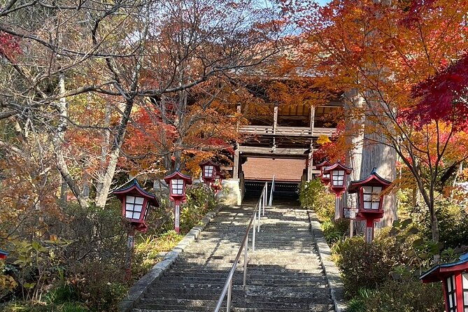 train-and-taxi-grape-temple-and-winery-tour-in-yamanashi