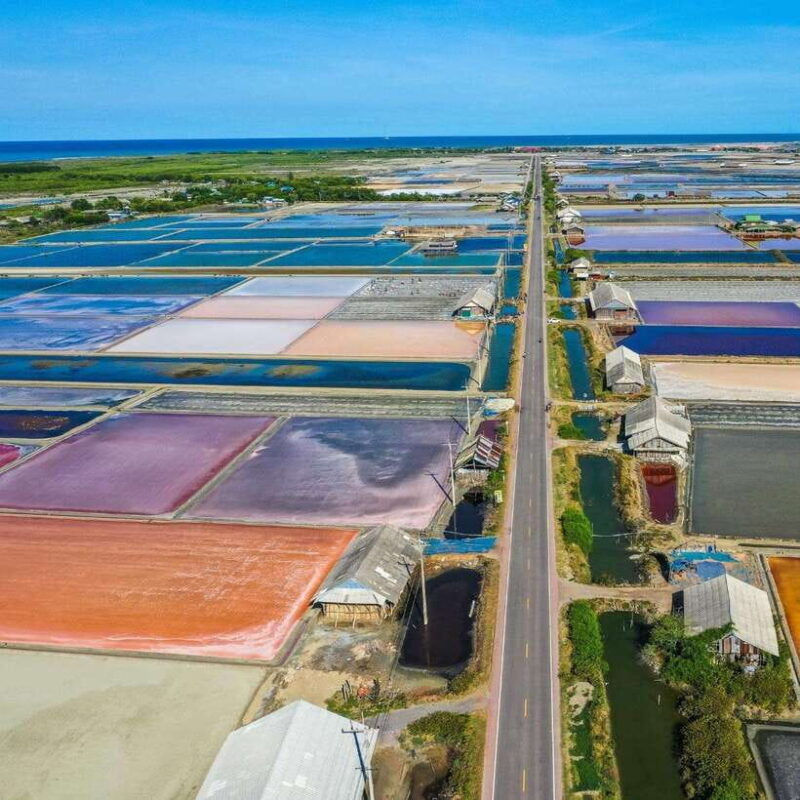 train-market-floating-market-and-salt-lake-tour-by-driver