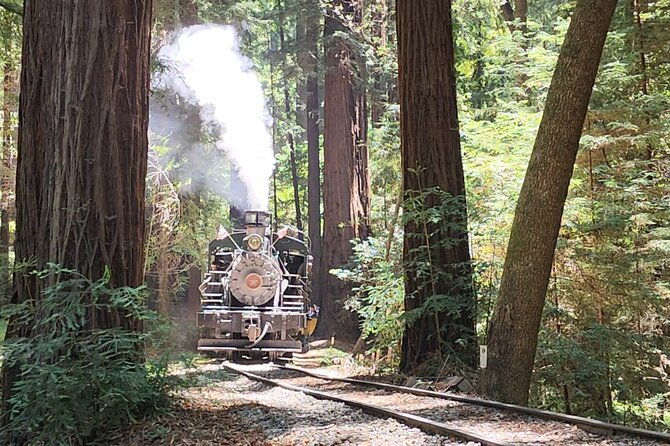 train-ride-adventure-through-mother-natures-giant-redwoods-park