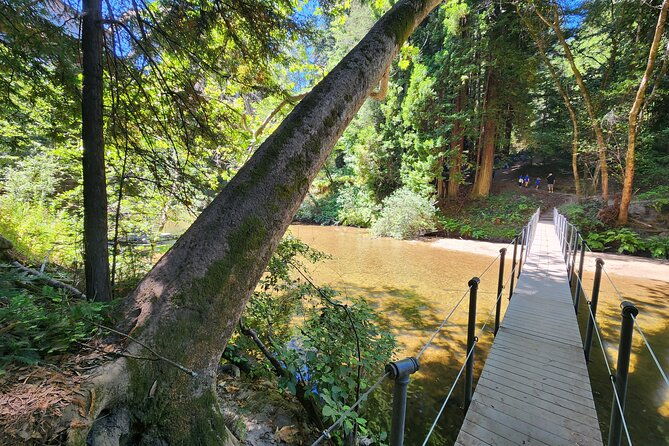 train-ride-adventure-through-mother-natures-giant-redwoods-park
