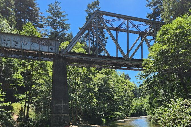 train-ride-adventure-through-mother-natures-giant-redwoods-park