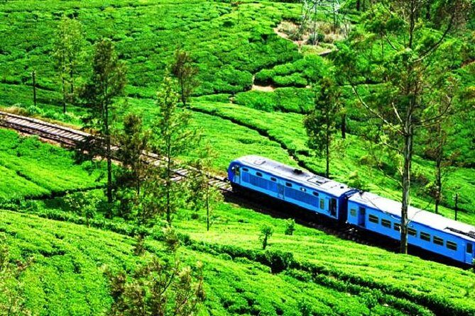Train Tickets from Nanuoya/ Ambewela (NuwaraEliya) to Ella - Key Points
