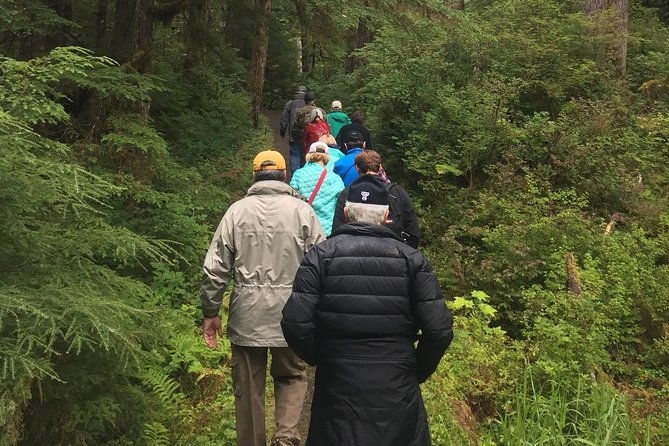 traitors-cove-bear-viewing-2