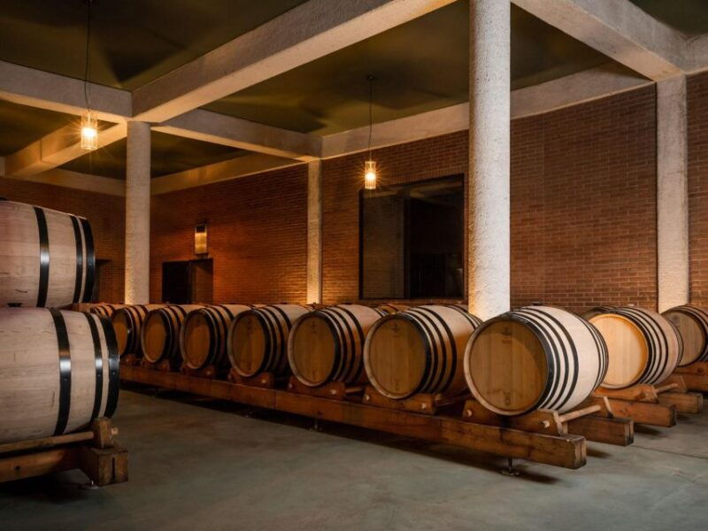 tramin-termeno-winery-tour-wine-tasting-j-hofstatter