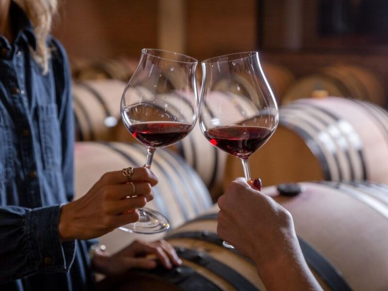 tramin-termeno-winery-tour-wine-tasting-j-hofstatter