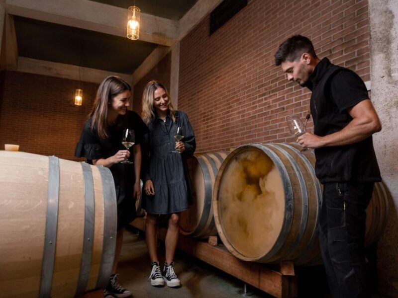 tramin-termeno-winery-tour-wine-tasting-j-hofstatter