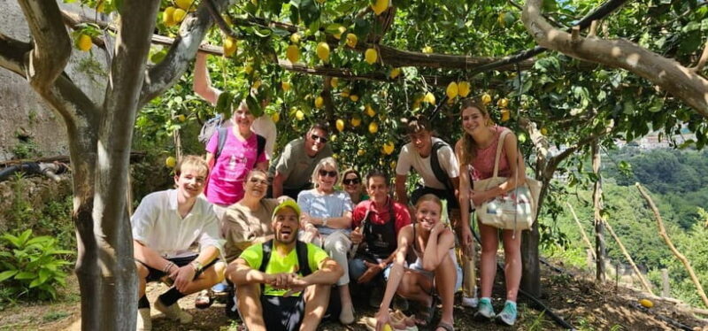 Tramonti: Lemon Tour at "Formichelle" Farm on Amalfi Coast - Key Points