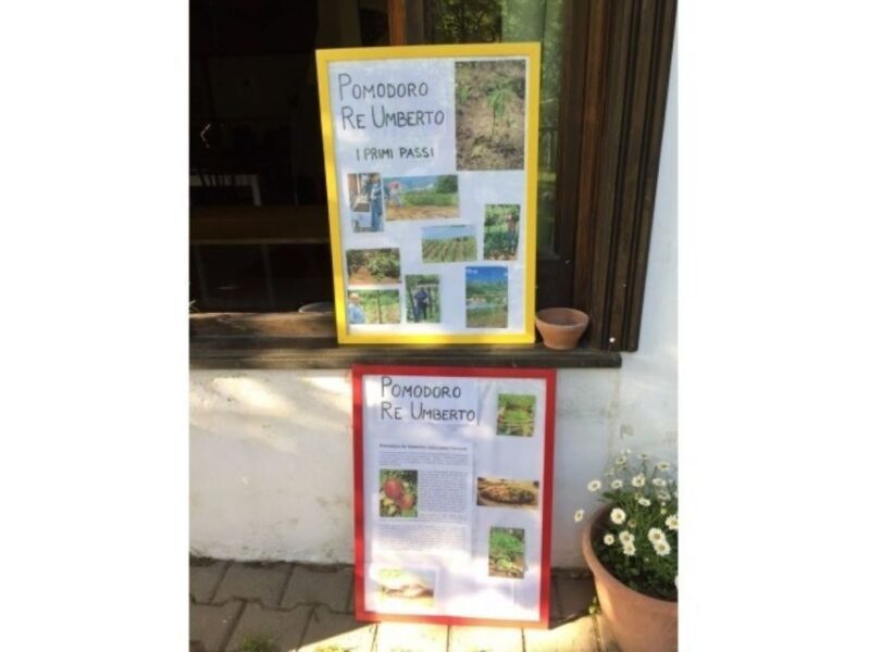 Tramonti: "Re Fiascone" Tomato Tasting - The Social Impact of the Experience