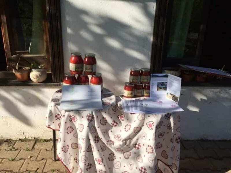 Tramonti: "Re Fiascone" Tomato Tasting - Pricing & Value