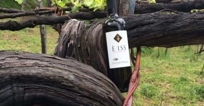 tramonti-tenuta-san-francesco-wine-tasting