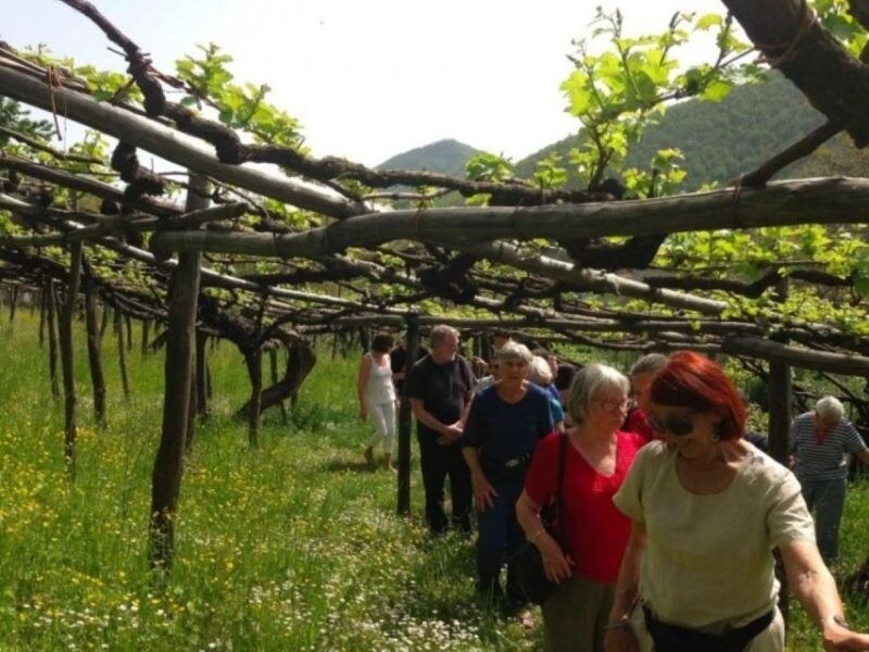 tramonti-tenuta-san-francesco-wine-tasting