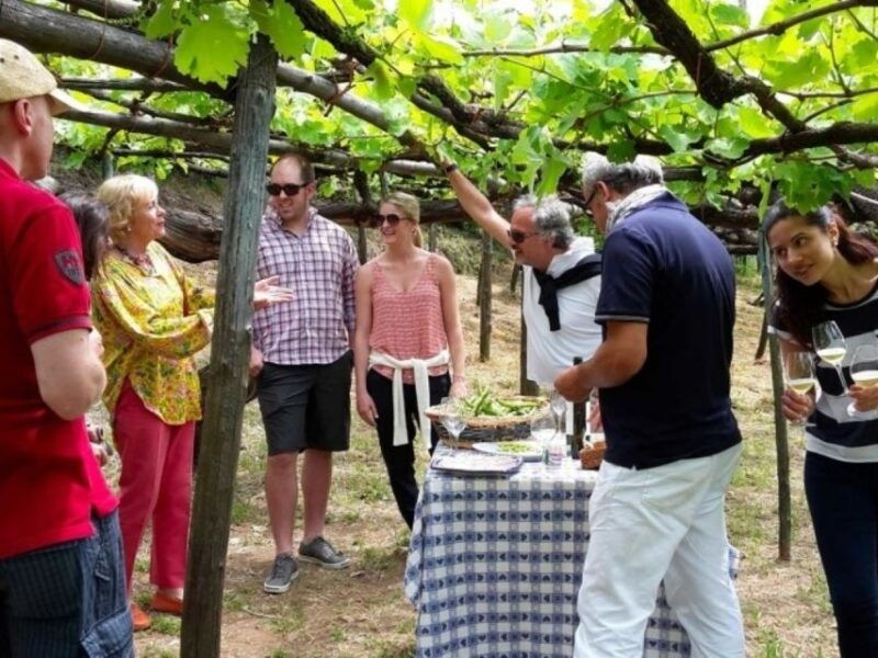 tramonti-tenuta-san-francesco-wine-tasting