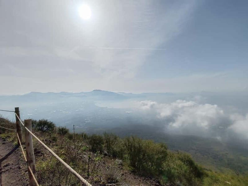 TRAMVIA -Da Naples: Pompei Ruins and Vesuvio Transfer by Bus - Who Will Love This Tour?