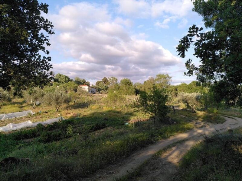trancoso-farm-eco-tour-with-tasting