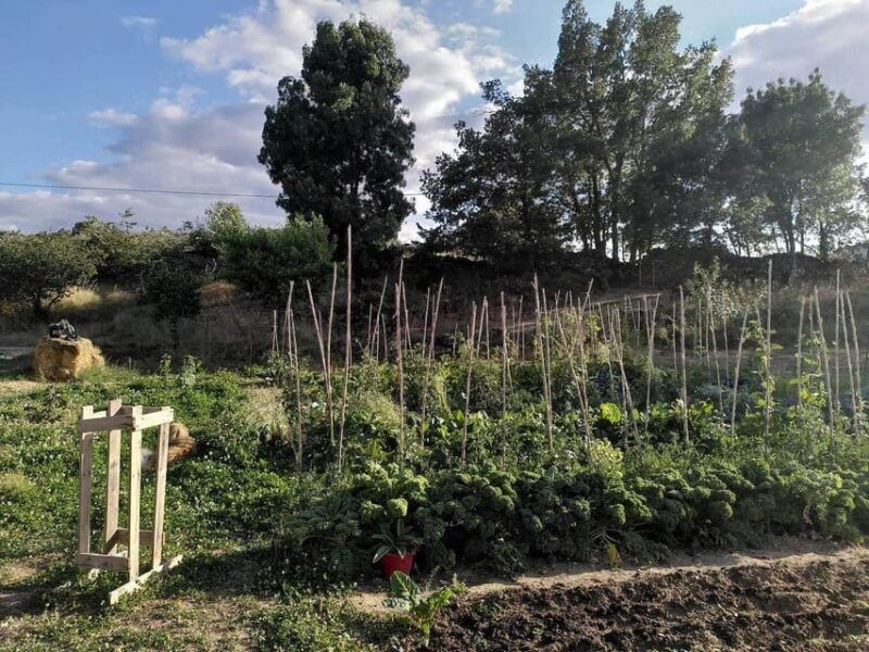 trancoso-farm-eco-tour-with-tasting