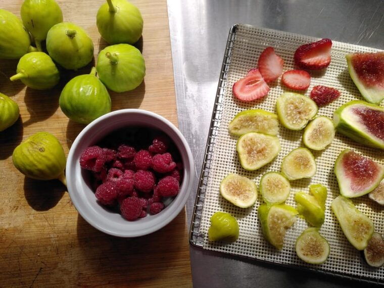 trancoso-farm-eco-tour-with-tasting