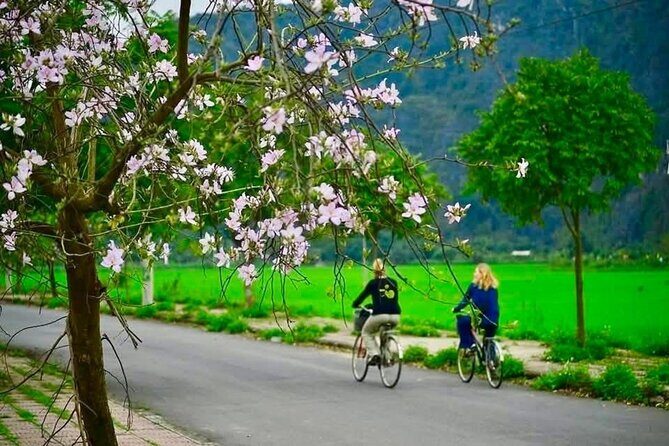 Trang An Full Day Limousine Adventure - Final Thoughts