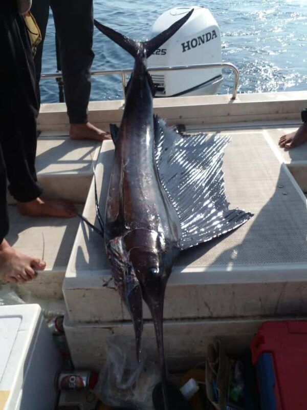 Trang: Andaman Sea Private Fishing Trip by Speedboat - Practicalities and Tips