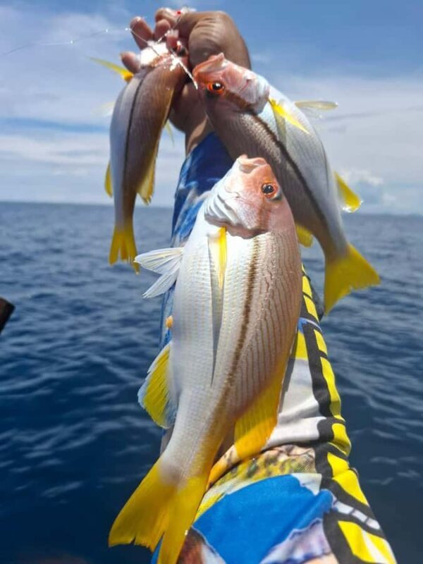 Trang: Andaman Sea Private Fishing Trip by Speedboat - Who Is This Tour Best For?