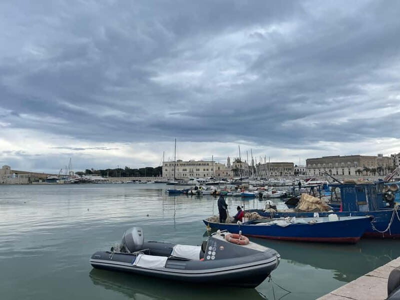 TRANI AND CASTEL DEL MONTE: guided tours and transfers from Matera - Who This Tour Is Best For  