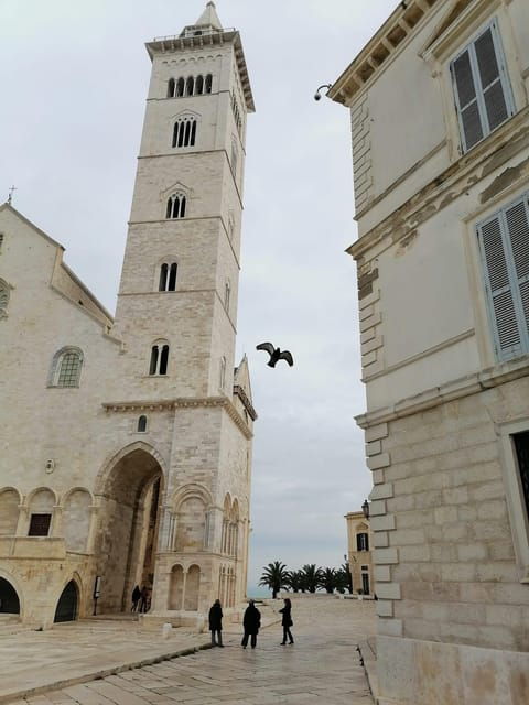 trani-and-castel-del-monte-guided-tours-and-transfers-from-matera