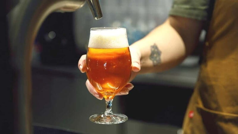 TRANI: Exclusive Panino Tasting - Key Points