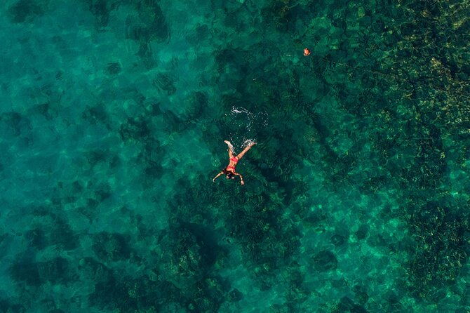 tranquila-beach-and-aquarium-day-tour