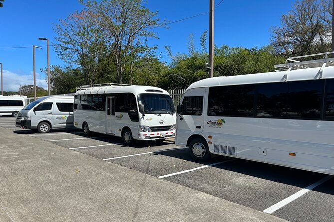 transalvarado-private-services-from-or-to-monteverde