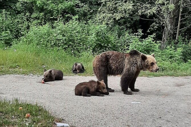 transfagarasan-private-tour-from-bucharest-2-days