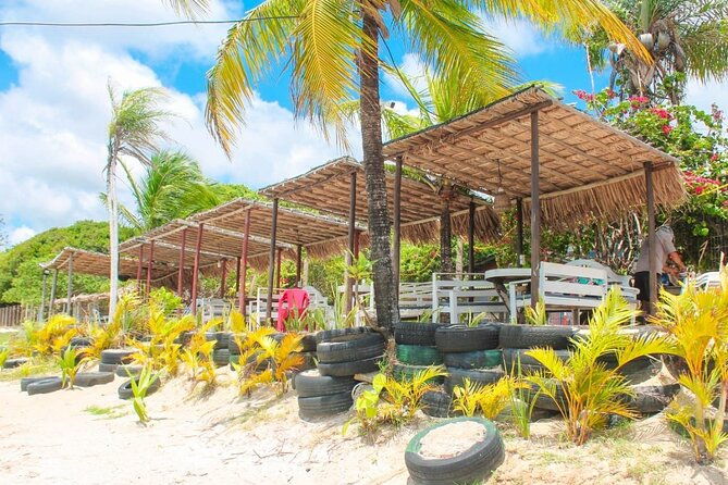 transfer-and-tour-in-natals-south-coast