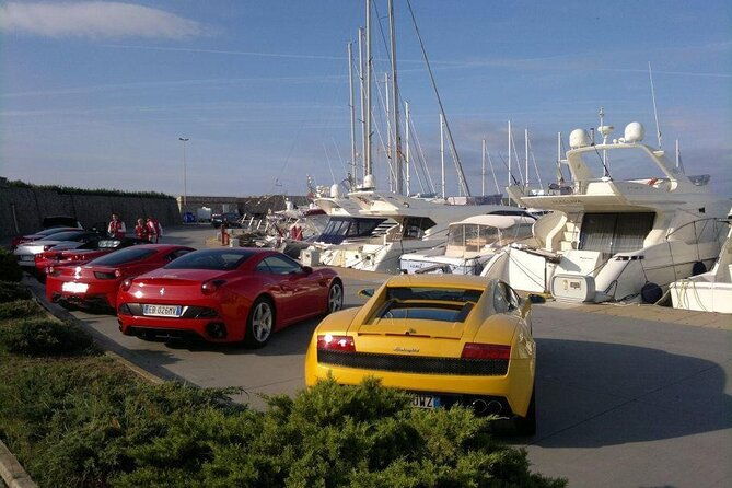 transfer-civitavecchia-cruise-portrome-fco-or-private-revers