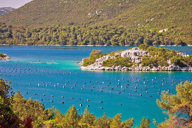 Transfer Dubrovnik to Split with Sightseeing in Ston Town - Who Should Consider This Tour?