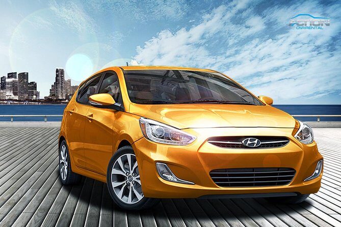 transfer from Alexandria to Cairo airport, Cairo & Giza hotels - Why Choose This Private Transfer?