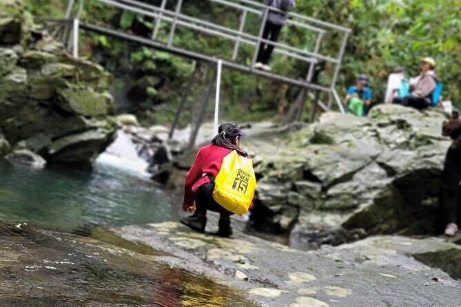 Transfer from Da Nang or Hoi An to Hue via Bach Ma National Park - The Sum Up