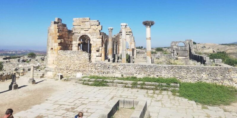Transfer From Fes to Tangier via Volubilis and Chefchaouen - Exploring the Transfer from Fes to Tangier via Volubilis and Chefchaouen