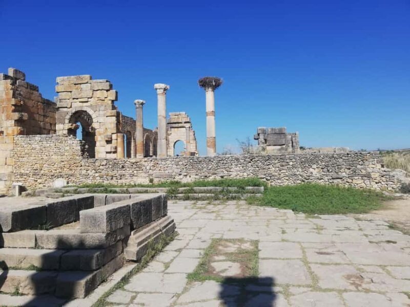 Transfer From Fes to Tangier via Volubilis and Chefchaouen - Is This Tour Worth the Price?