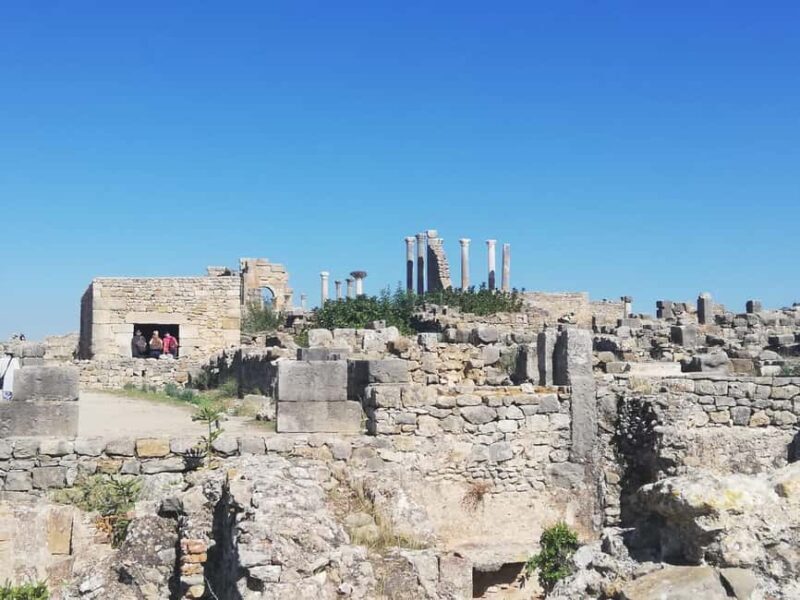 Transfer From Fes to Tangier via Volubilis and Chefchaouen - Who Should Consider This Tour?