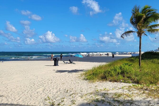transfer-from-miami-airport-to-hotel-or-port-miami