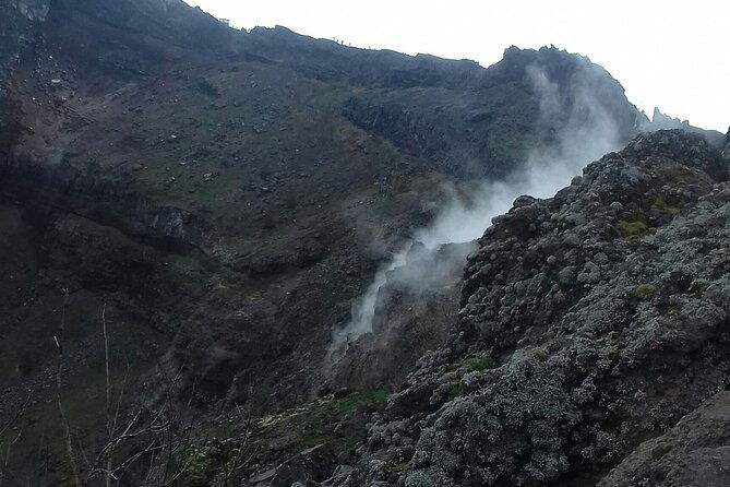 transfer-from-naples-train-station-area-to-positano-2hr-stop-in-mt-vesuvius