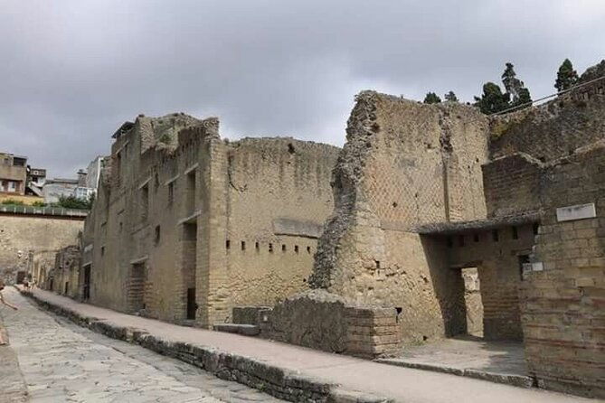 transfer-from-naples-train-station-area-to-sorrento-2hr-stop-in-herculaneum