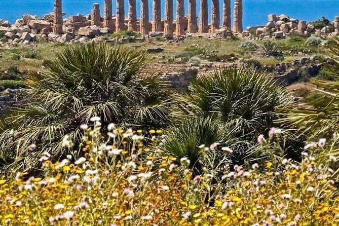 transfer-from-palermo-airport-to-verdura-golf-resort-sciacca