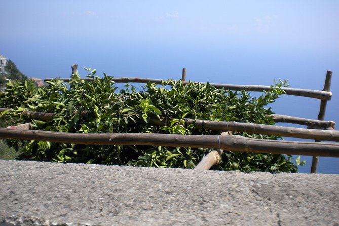 transfer-from-rome-to-sorrento