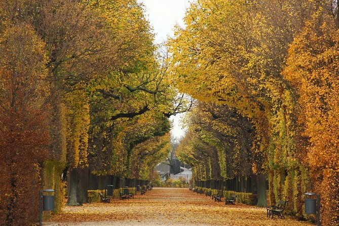 transfer-from-salzburg-to-vienna-private-daytrip-with-2-hours-for-sightseeing