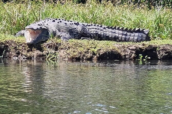 transfer-from-tortuguero-to-moin-by-boat