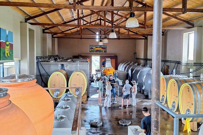 transfer-lujan-de-cuyo-and-maipu-wineries