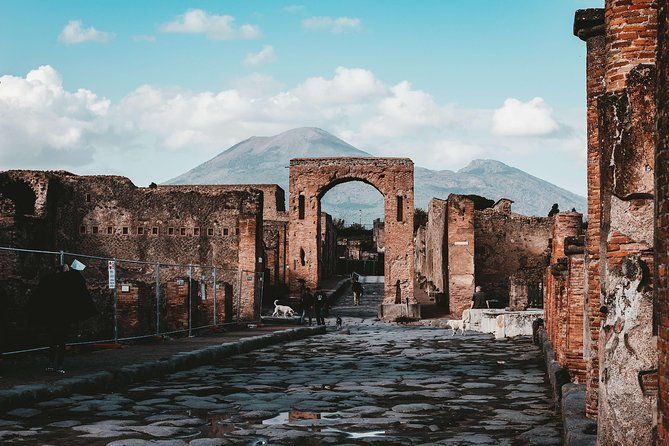 transfer-rome-to-naples-with-stop-at-pompeii-vice-versa