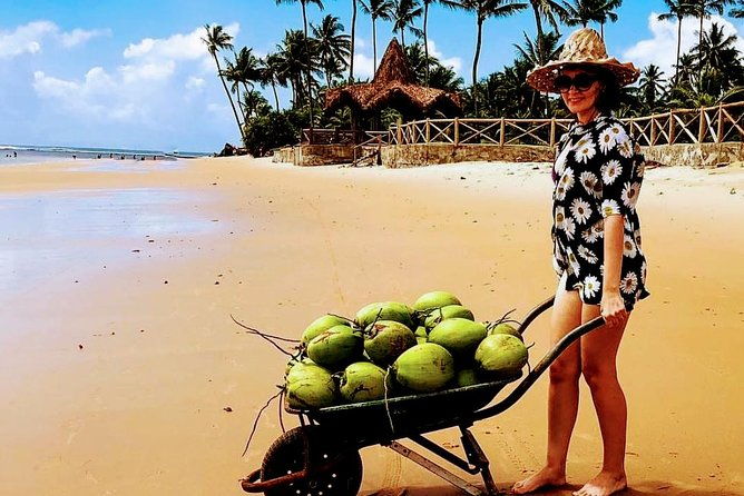 transfer-salvador-to-barra-grande-round-trip
